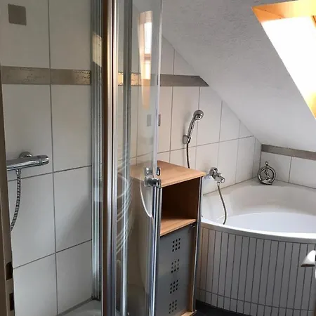 Apartment Haus Levi Neukirch (Black Forest)