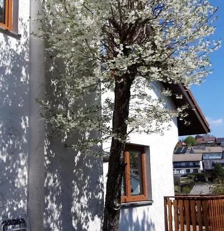 Haus Levi Apartment Neukirch (Black Forest)