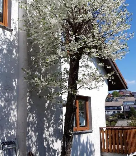 Haus Levi Lägenhet Neukirch (Black Forest)